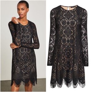 BCBGMaxAzria Marae Lace A-Line Dress Black Fringe